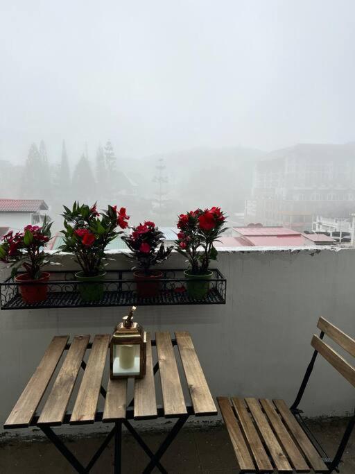 Apartmán Lily Maison Tanah Rata Exteriér fotografie